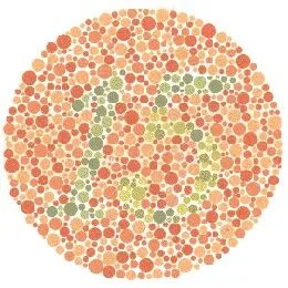 Ishihara Plate 9