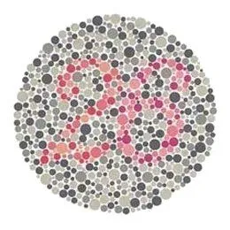 Ishihara Plate 1