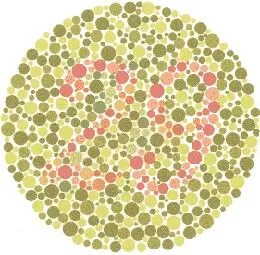 Ishihara Plate 4