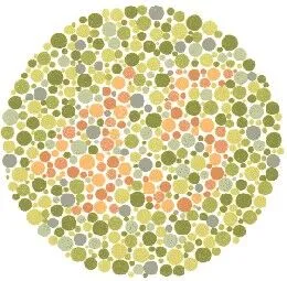 Ishihara Plate 6