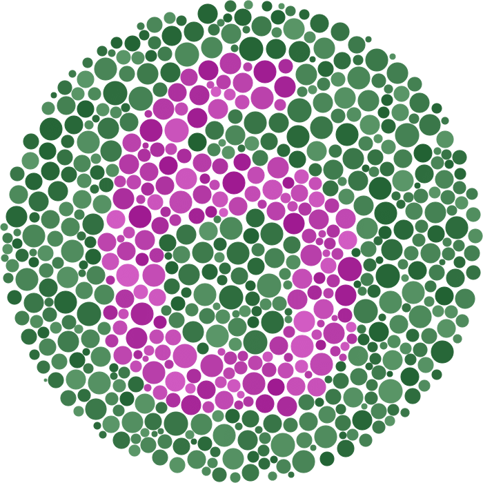 Ishihara Plate 10