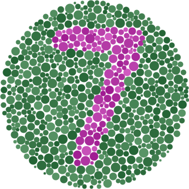 Ishihara Plate 7