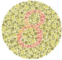 Ishihara Plate 7